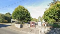 Second child assaulted in Kildare park 