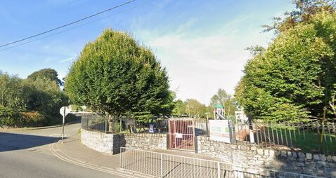 Second child assaulted in Kildare park 