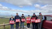 Carlow IFA launches campaign to highlight serious threat posed by uncontrolled dogs 