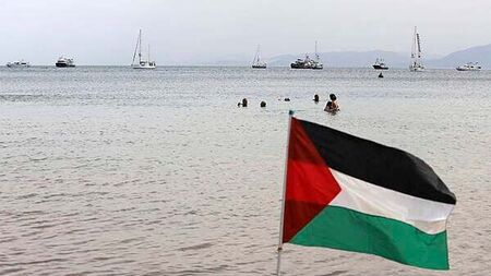 Human rights campaigner expresses concern about how flotilla detainees will be treated