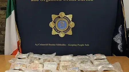 Logistics boss jailed after €1.2m cash haul intercepted on M7
