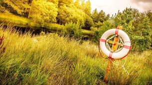 <p>The shortage was raised at a recent Bagenalstown MD meeting</p>