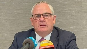 New TDs take seats in Dáil after by-elections