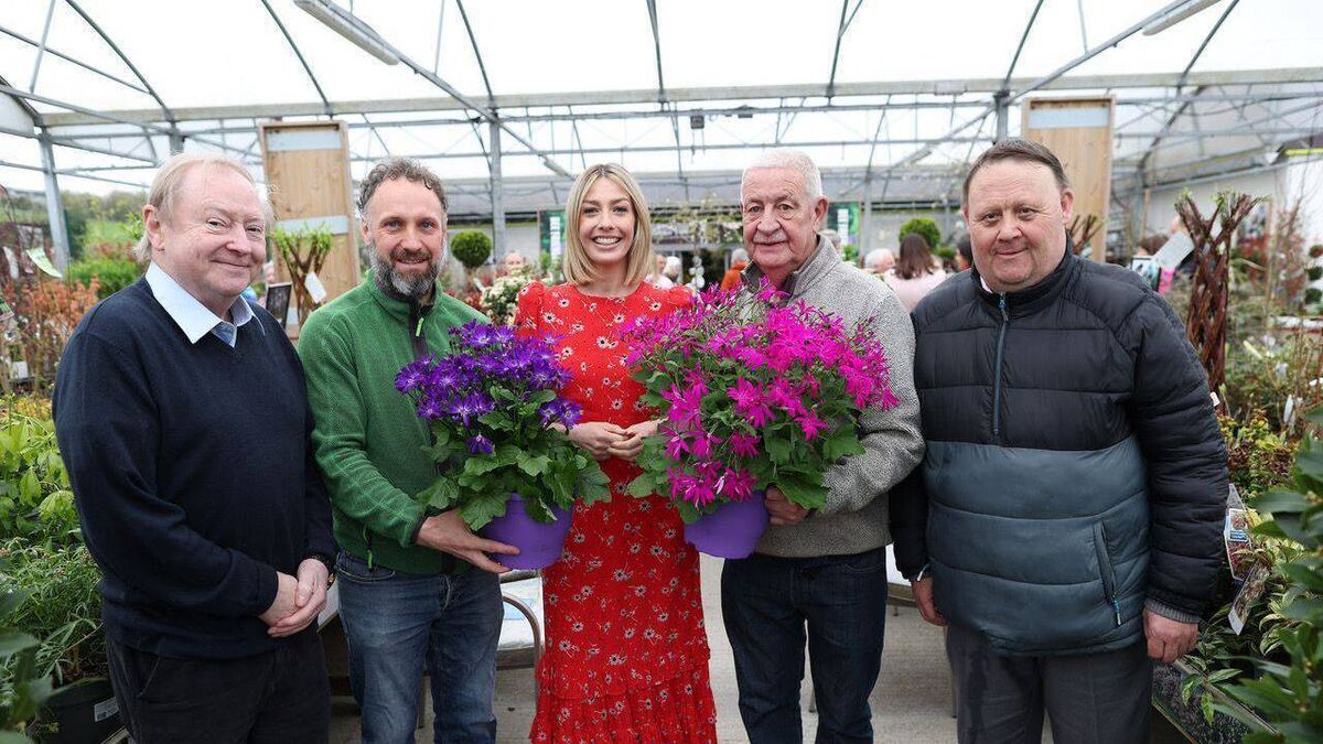 Bagenalstown community garden to exhibit at Bloom