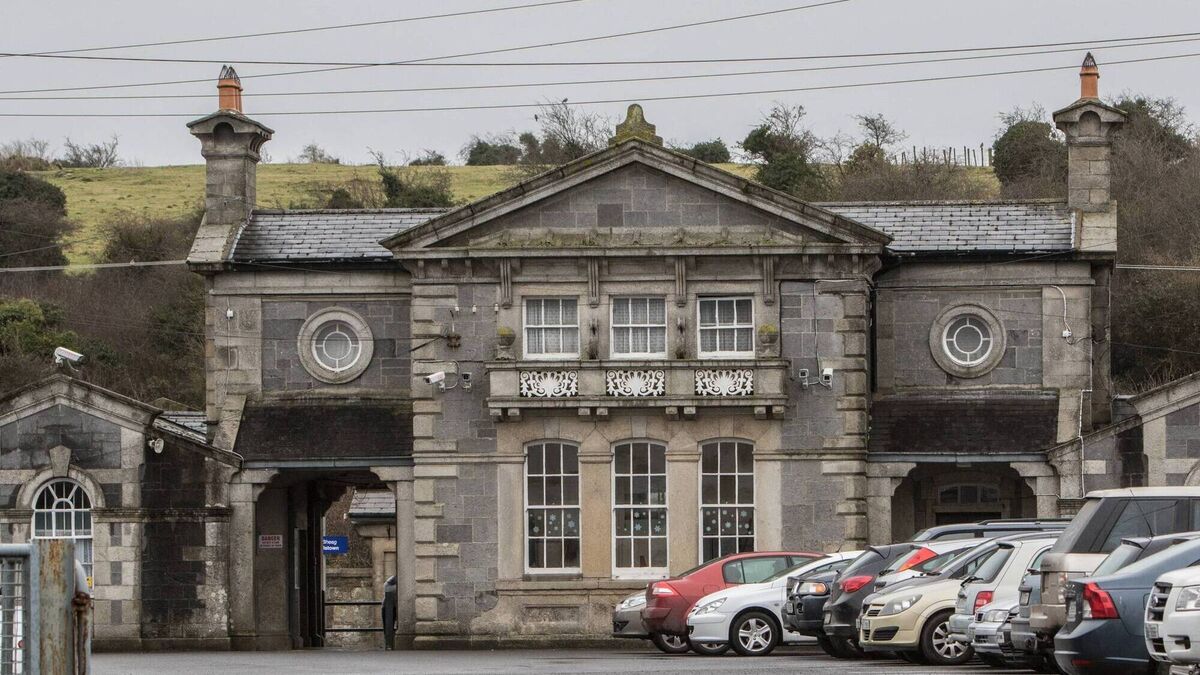 Assaulted inspector after he was asked for his train ticket, Carlow Circuit Court heard 