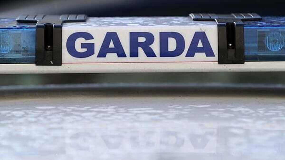 Gardaí investigating death of mother in Galway say post-mortem is complete