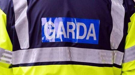 'Flagrant ignorance of court orders' lands Kildare man with suspended sentence