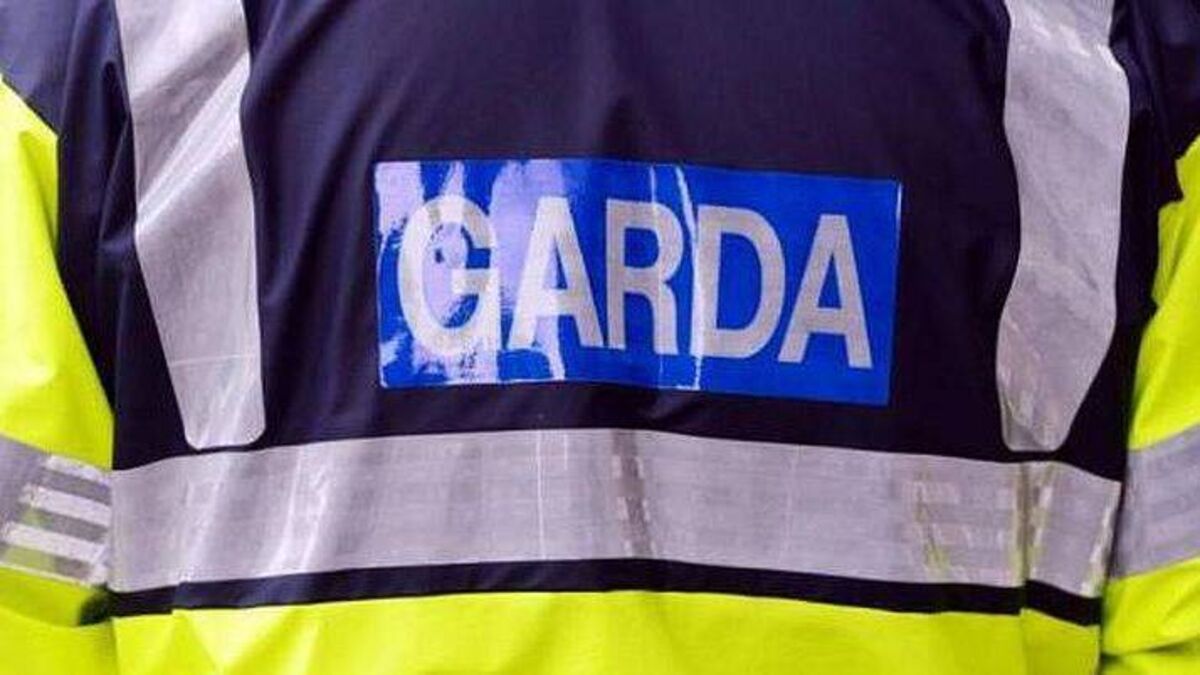 Two homes burgled in Co Carlow