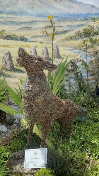 The Last Wolf on Mount Leinster, a sculpture created by Emma Jane Rushworth for Bord Bia Bloom 2026. 
