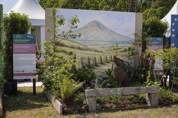  A Landscape of Transition created by Bagenalstown Community Garden, Bagenalstown, Co Carlow. Photo: Johnny Bambury / Fennell Photography 2026 