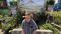Bagenalstown garden awarded certificate of distinction at Bloom