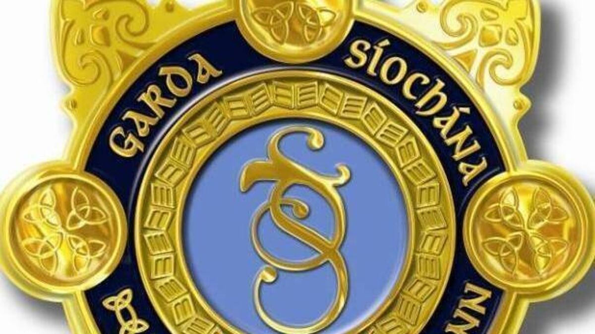 Man mugged yesterday on Staplestown Road, Carlow