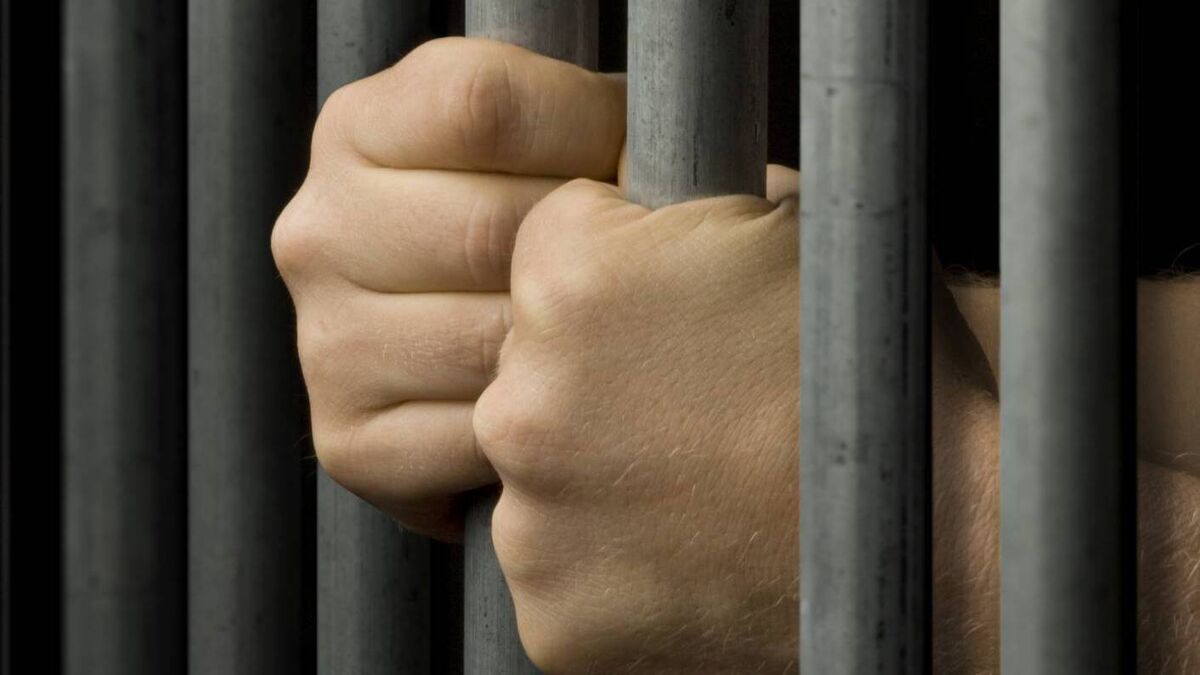 Sentenced to four years by Carlow Circuit Court for assaulting sister’s ex-partner with hurl