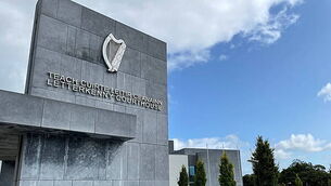 Man accused of fatal hit-and-run told gardaí damage to his van caused by a deer Man accused of fatal hit-and-run told gardaí damage to his van caused by a deer