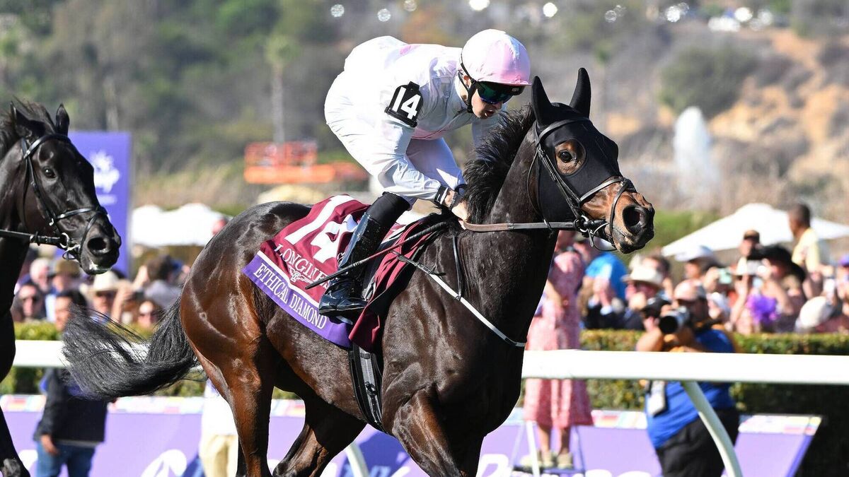 Mullins sends strong team to Royal Ascot
