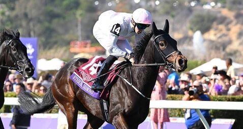 Mullins sends strong team to Royal Ascot
