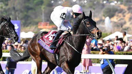 Mullins sends strong team to Royal Ascot