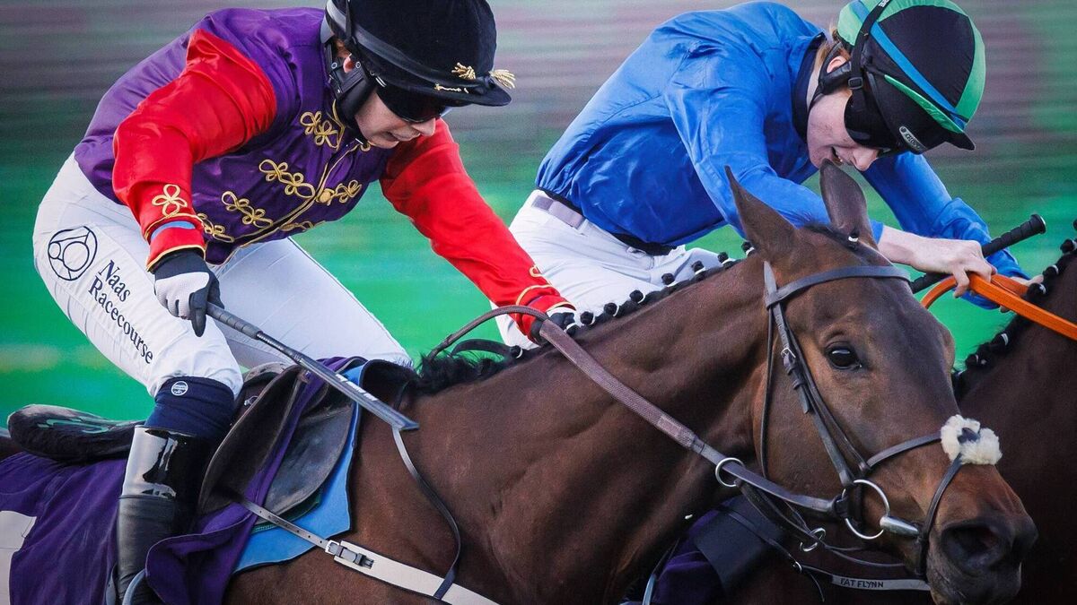 Reaching High strongly fancied for Willie Mullins at Royal Ascot