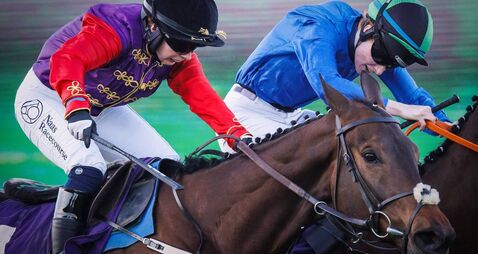 Reaching High strongly fancied for Willie Mullins at Royal Ascot