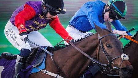 Reaching High strongly fancied for Willie Mullins at Royal Ascot