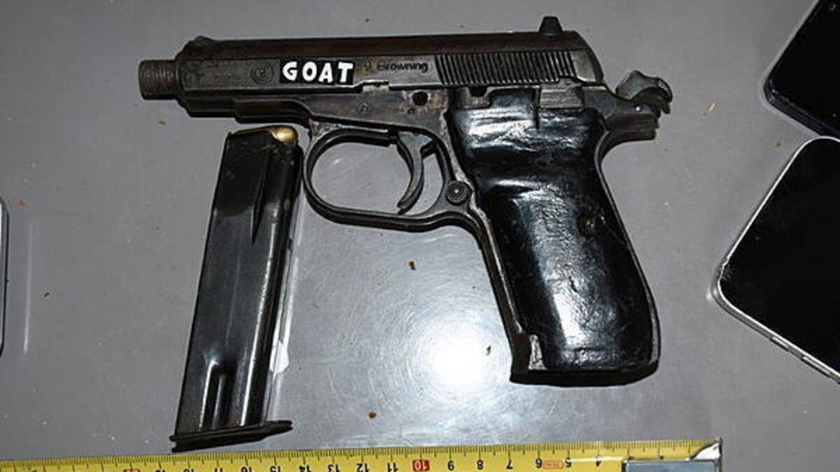 Two people arrested after seizure of firearm and ammo in Dublin