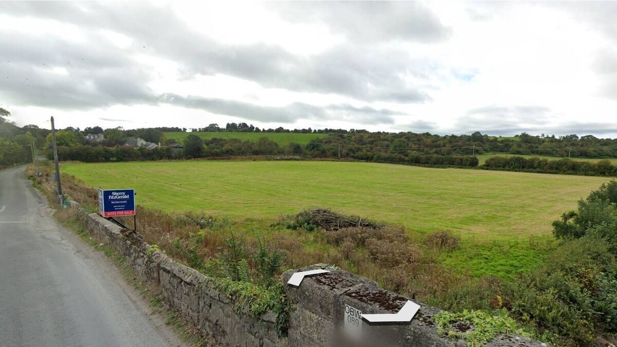 Council grants permission for 65 houses in Bagenalstown