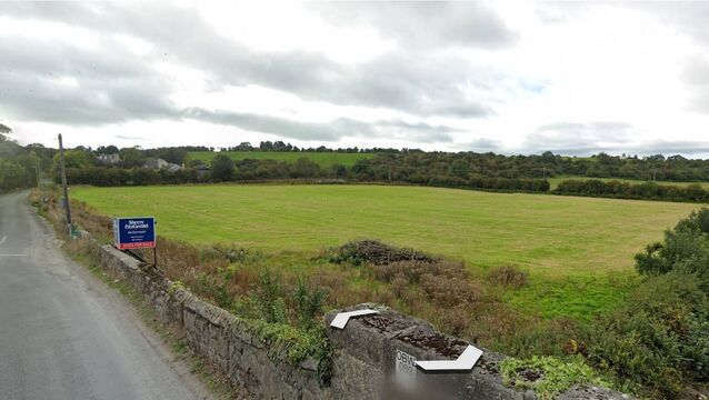 Council grants permission for 65 houses in Bagenalstown 