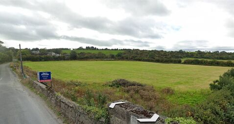 Council grants permission for 65 houses in Bagenalstown 