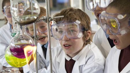 Five Carlow primary schools win national STEM awards