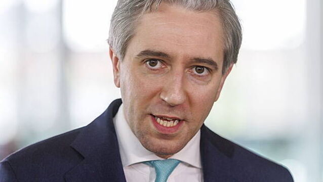 Security during EU presidency ‘taken extremely seriously’, Tánaiste says