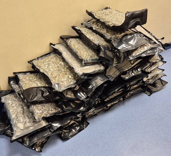 Cannabis seized in Kildare