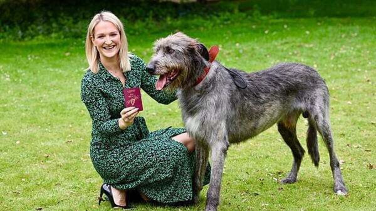 Wolfhound features on new ‘unmistakably Irish’ passport