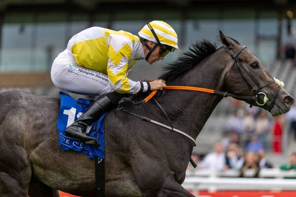 Billy Lee on the Jack Foley trained Midnight Dusk wins The Fitzpatrick`s Garage Group Handicap at the Curragh Photo: ©INPHO/Morgan Treacy