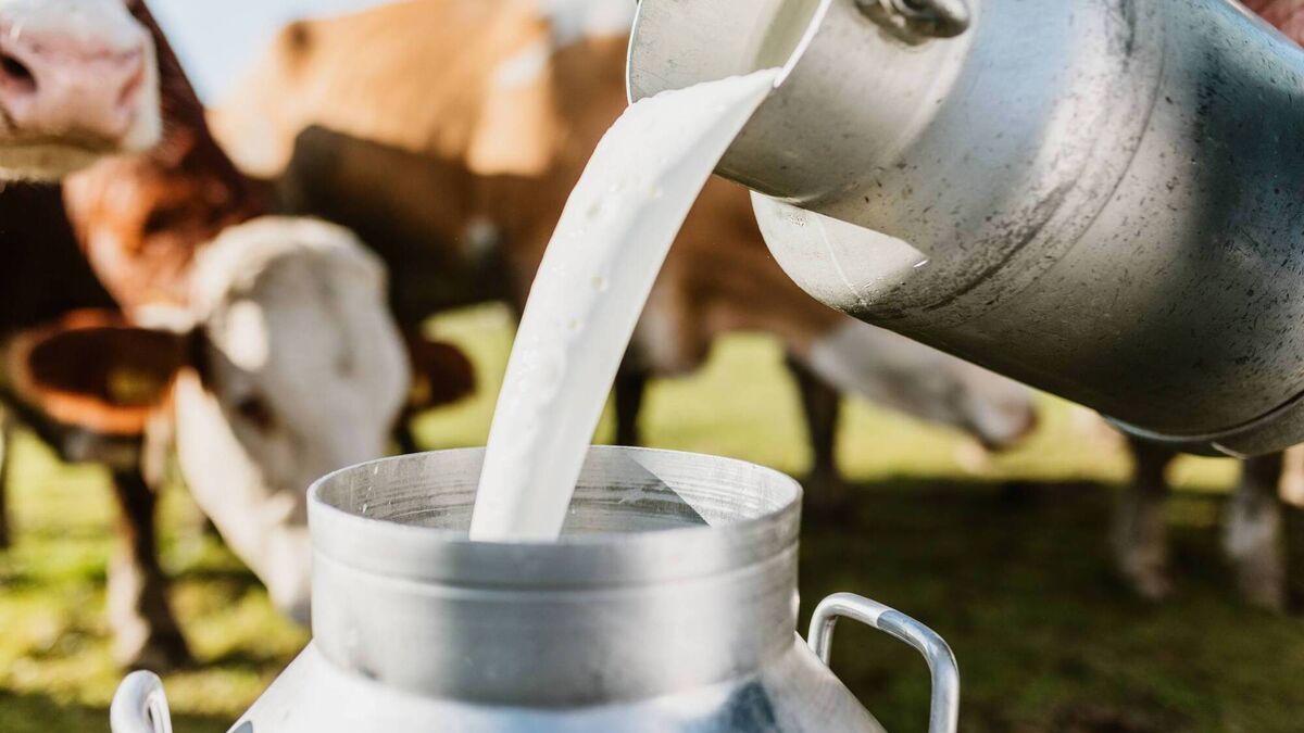 Tirlán announces €4.5 million dairy support payout
