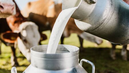 Tirlán announces €4.5 million dairy support payout