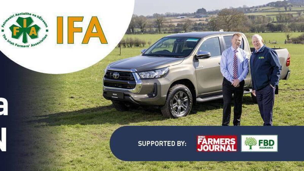 IFA launches ‘refer a friend’ competition