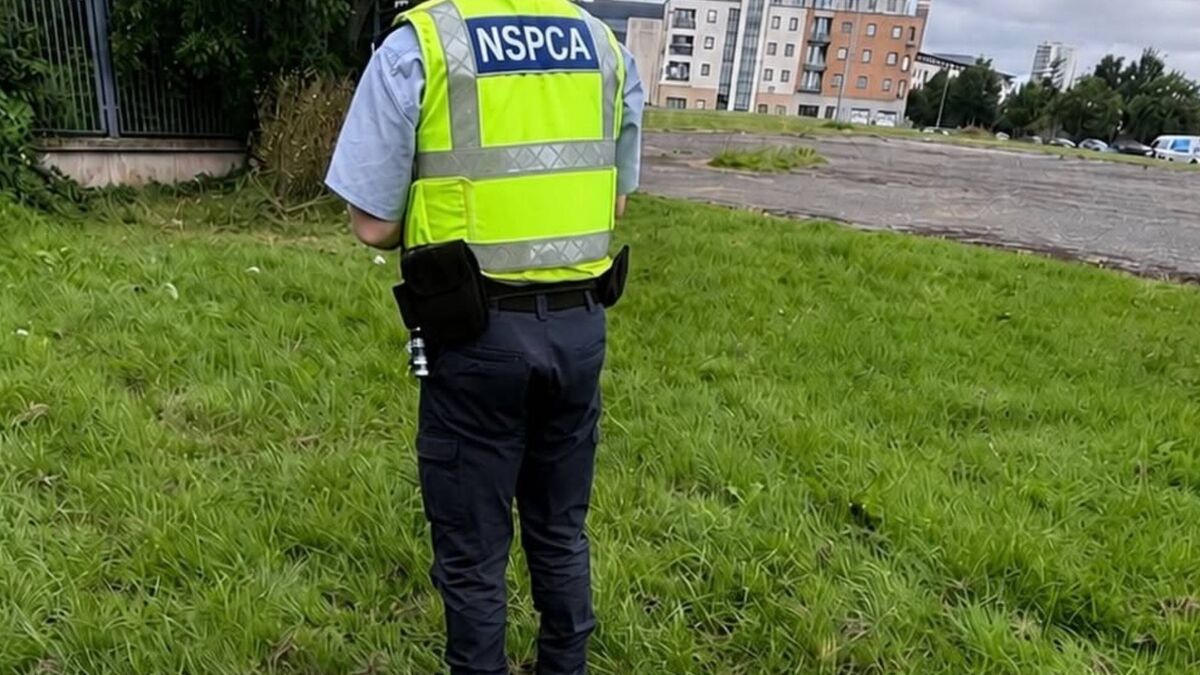 Man handed lifetime animal ban after dog found ‘eaten alive’ by maggots.