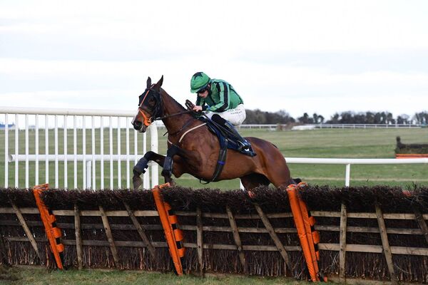 Paddy Hanlon on the way to winning on Hewick in Thurles in 2025 Photo: Pat Healy