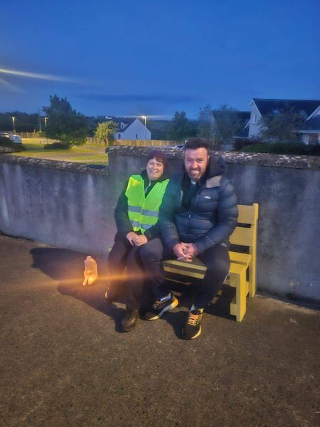 The bright yellow bench in Ballinkillen