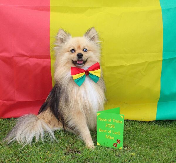 Max standing proud with his good luck card and the Carlow GAA colours on his bowtie Max standing proud with his good luck card and the Carlow GAA colours on his bowtie
