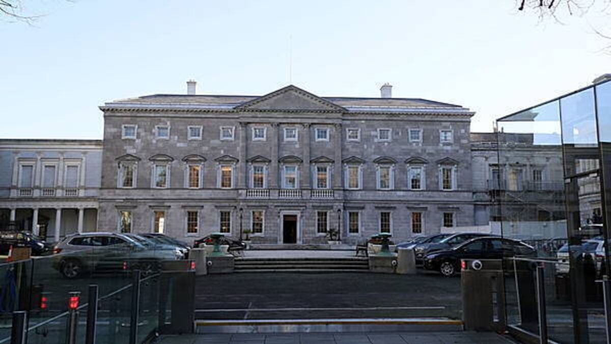 TD helps disarm man attempting to harm himself outside Dáil
