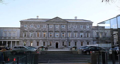 TD helps disarm man attempting to harm himself outside Dáil
