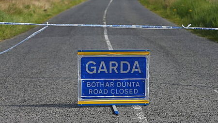 Man and woman (70s) die in Louth crash