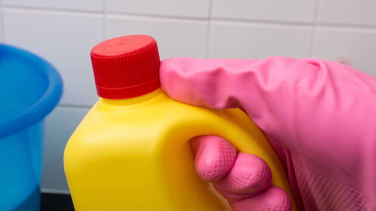 Graiguecullen man carried bottles of bleach to protect his sister, court told