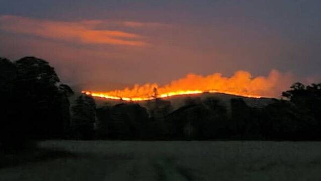 Smoke from Tipperary wildfire spreads across Cork as Coillte appeal to public to stay away
