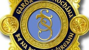Dead snakes and deer dumped in River Slaney