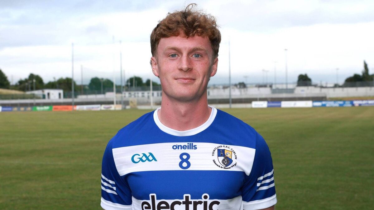 Tinryland too good for Clonmore as Walshe leads the way