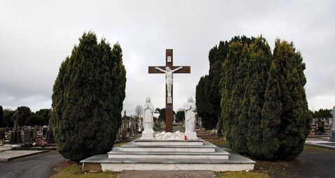Juvenile appears in court over alleged involvement in cemetery brawl 