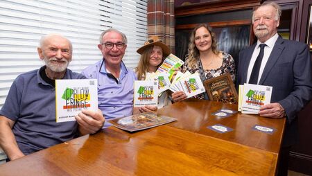 Art, music, theatre and plenty of shenanigans in upcoming Carlow Fringe Arts Festival