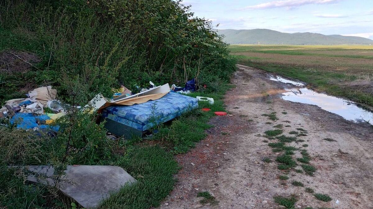 Clean up of illegal camp in Carlow town will cost €10k